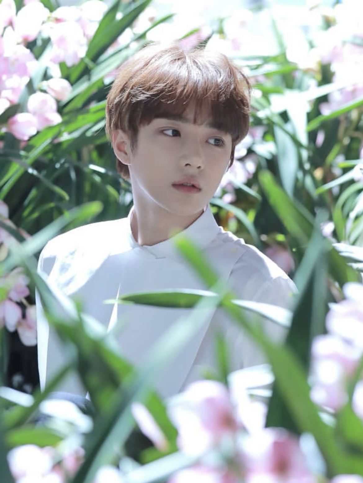 Recent activity shot of Beomgyu (TOMORROW X TOGETHER)