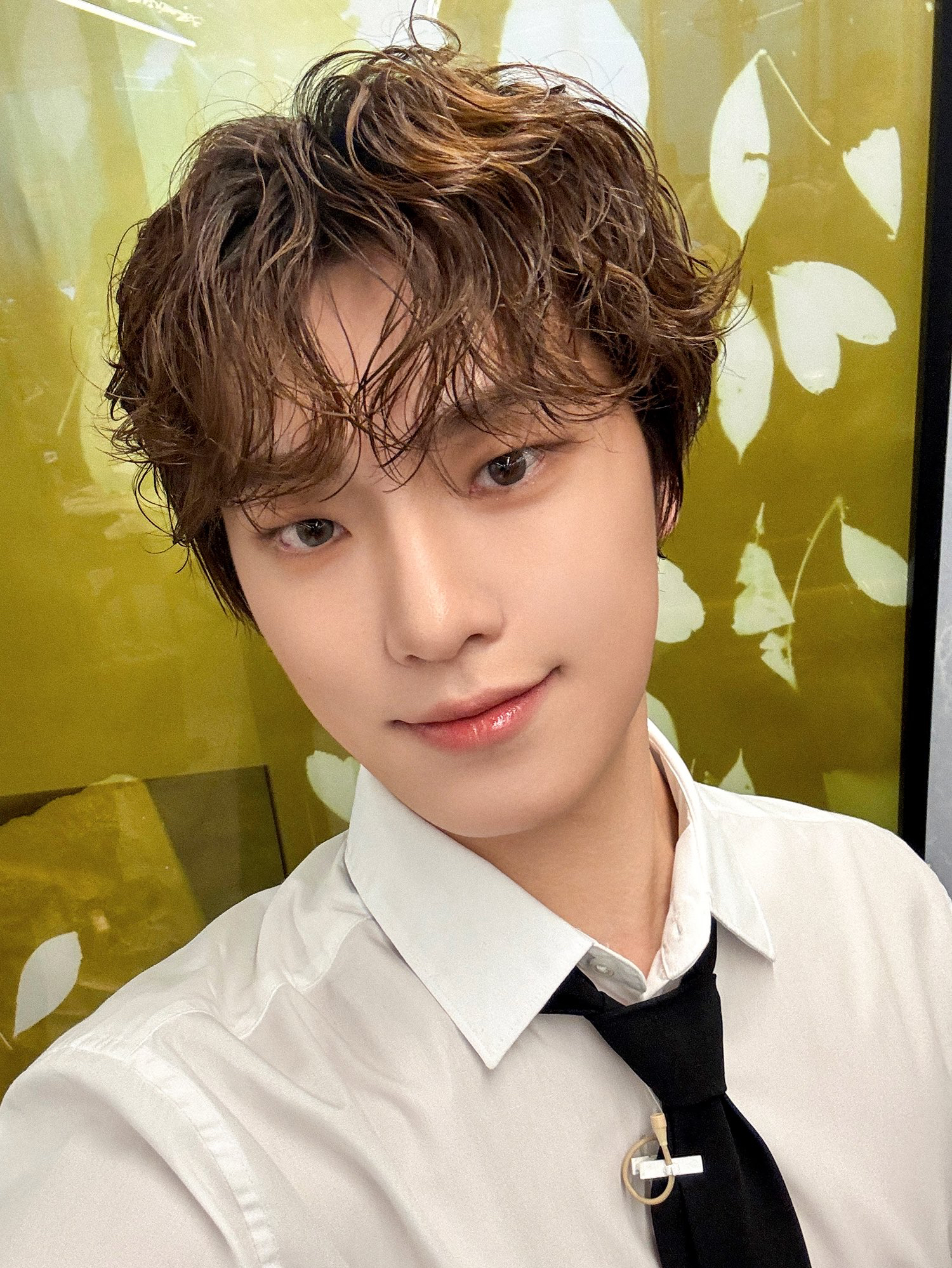 Latest photo of Dino (SEVENTEEN)