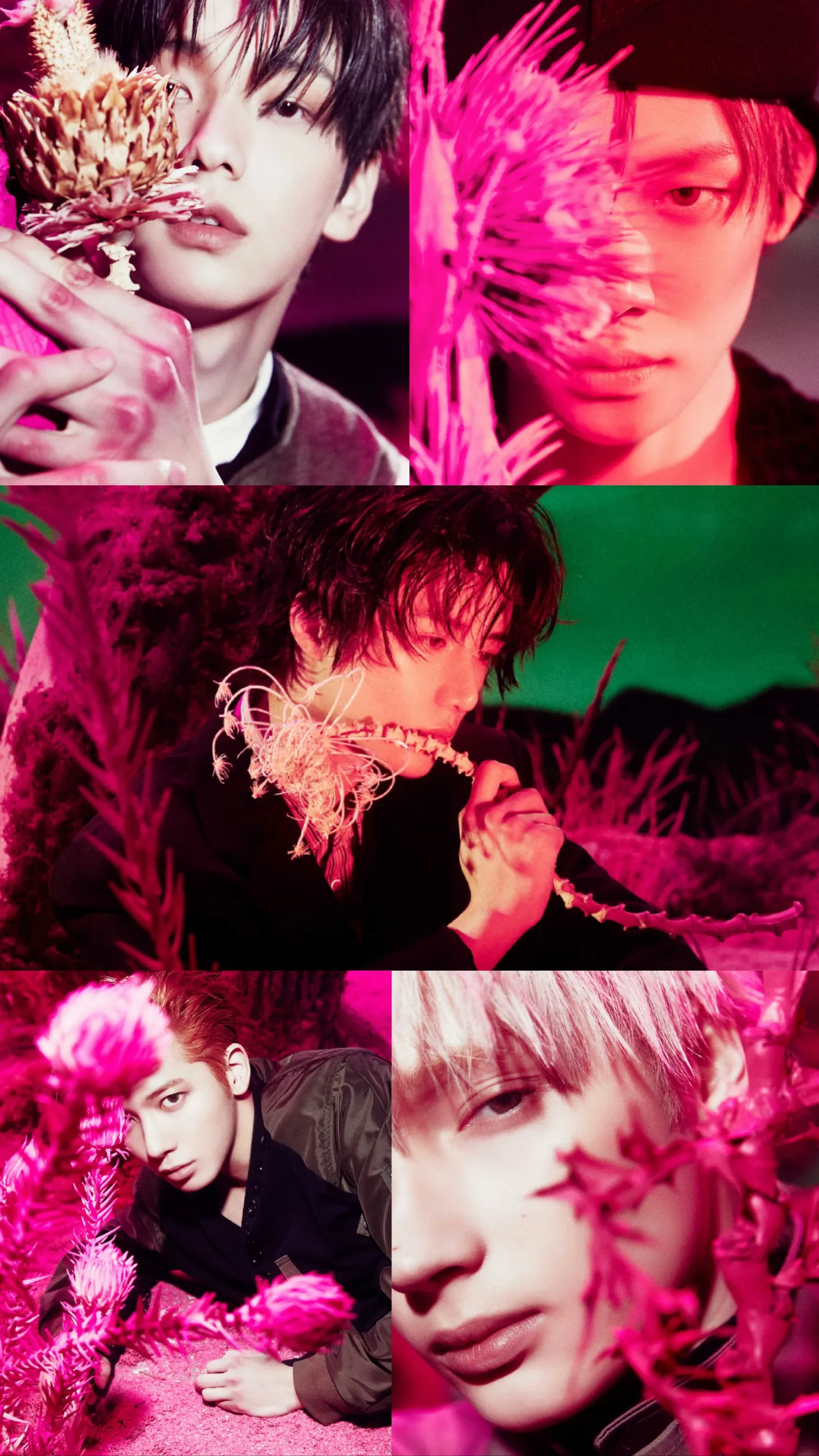 Latest photo of TOMORROW X TOGETHER