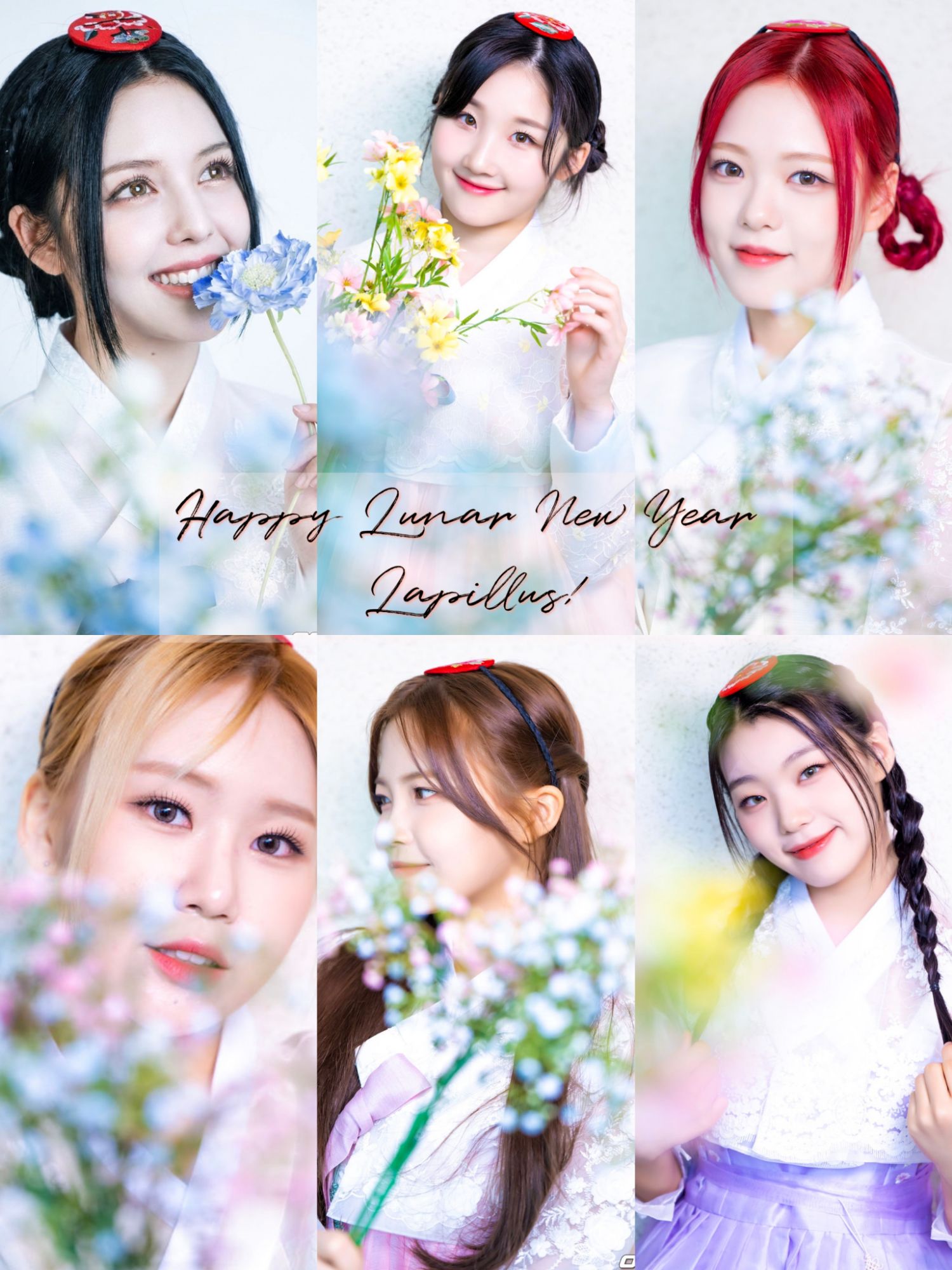 Lapillus的最新照片