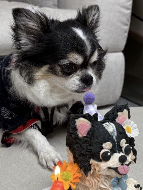 Recent activity shot of Hyunjin (Stray Kids)