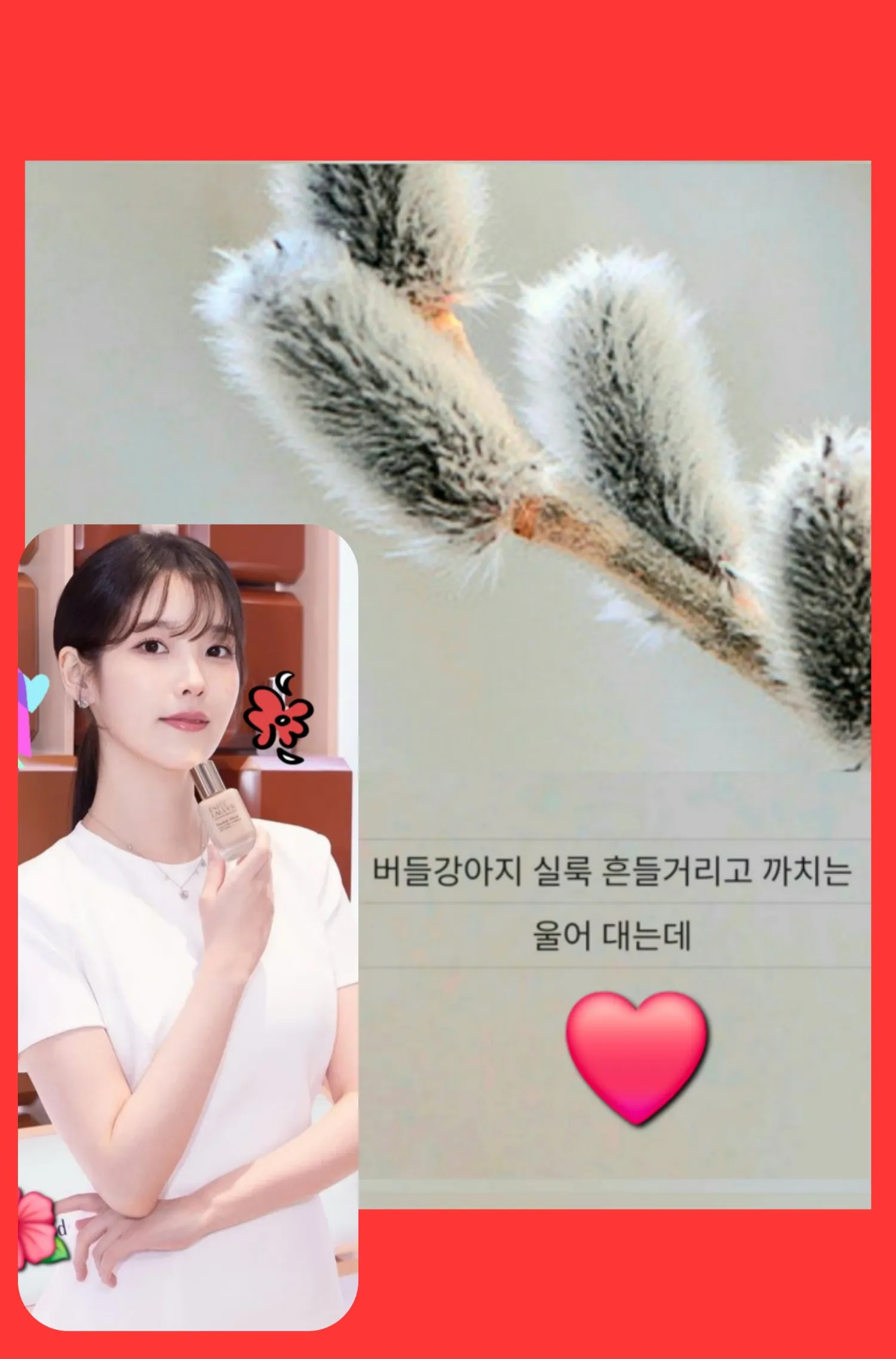 Recent activity shot of IU