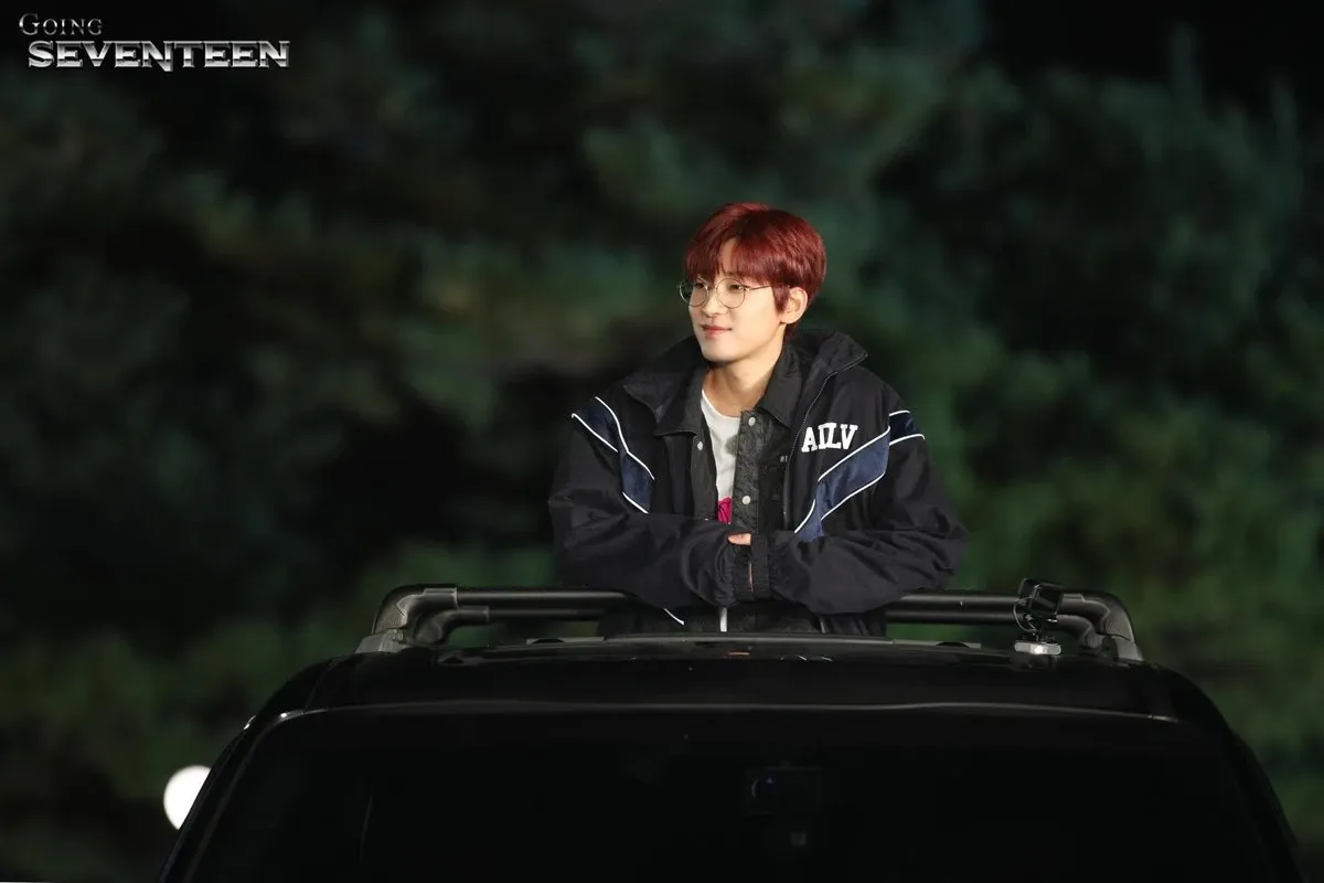 圆佑 (SEVENTEEN)粉丝拍下的瞬间
