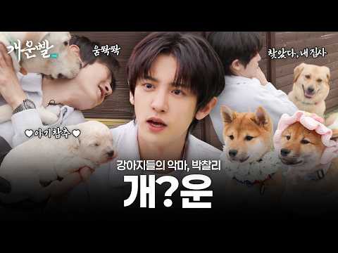 EXO의 최신 사진