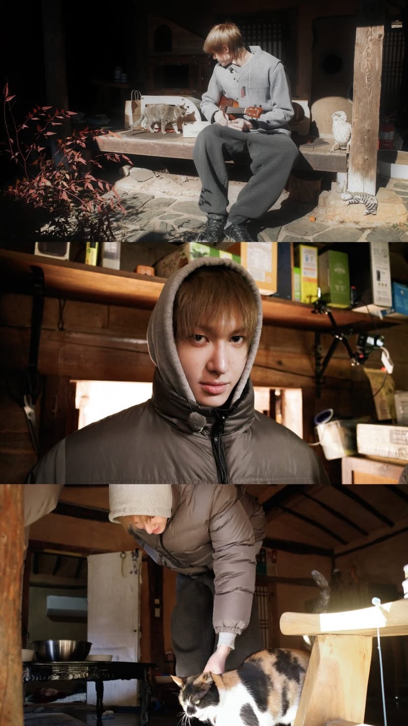 The most beloved wallpaper among Seonghyeon (CORTIS)'s fans