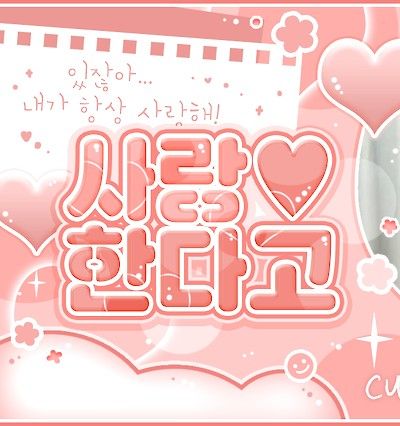 세븐틴 팬이 찍은 순간