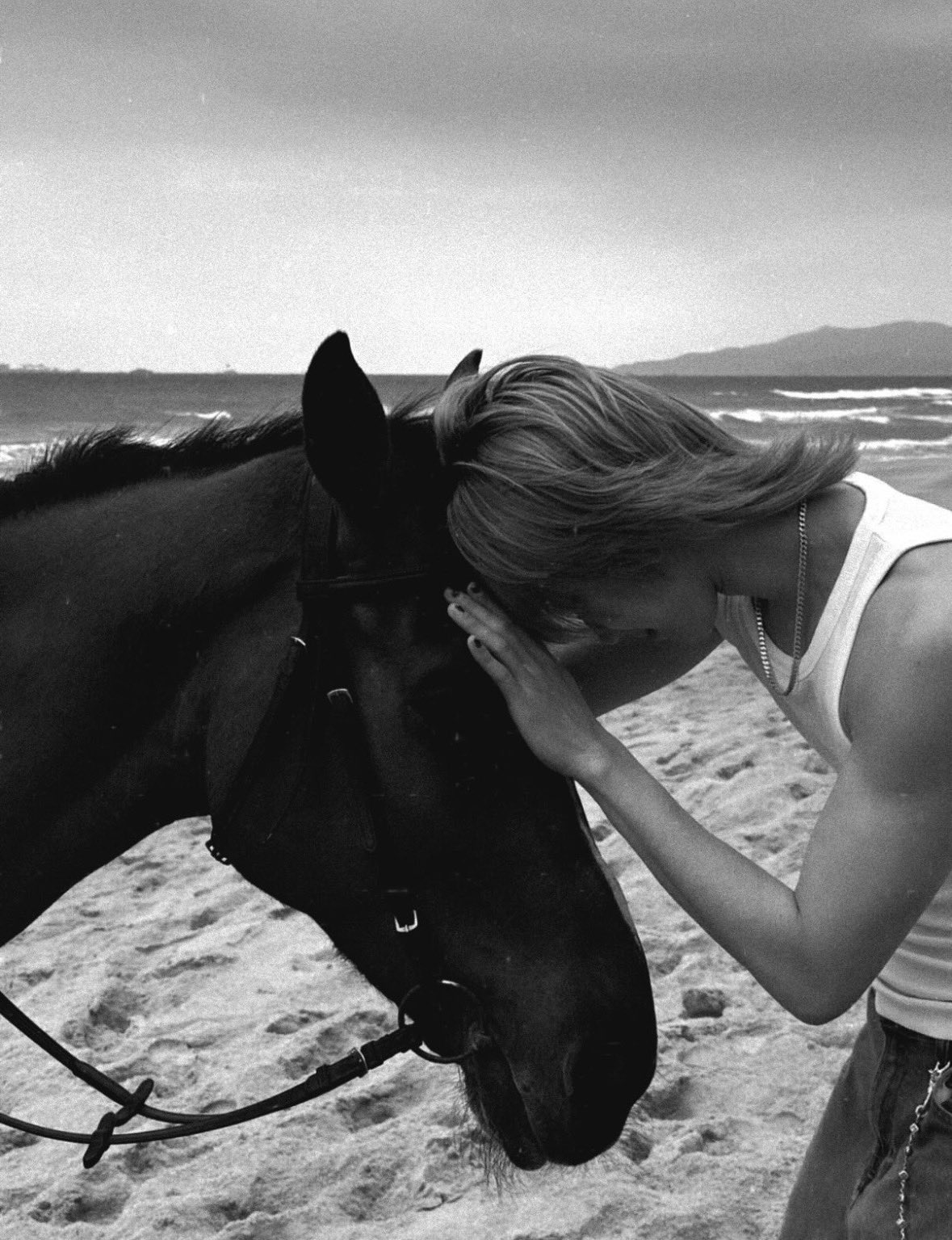 Latest photo of The 8 (SEVENTEEN)