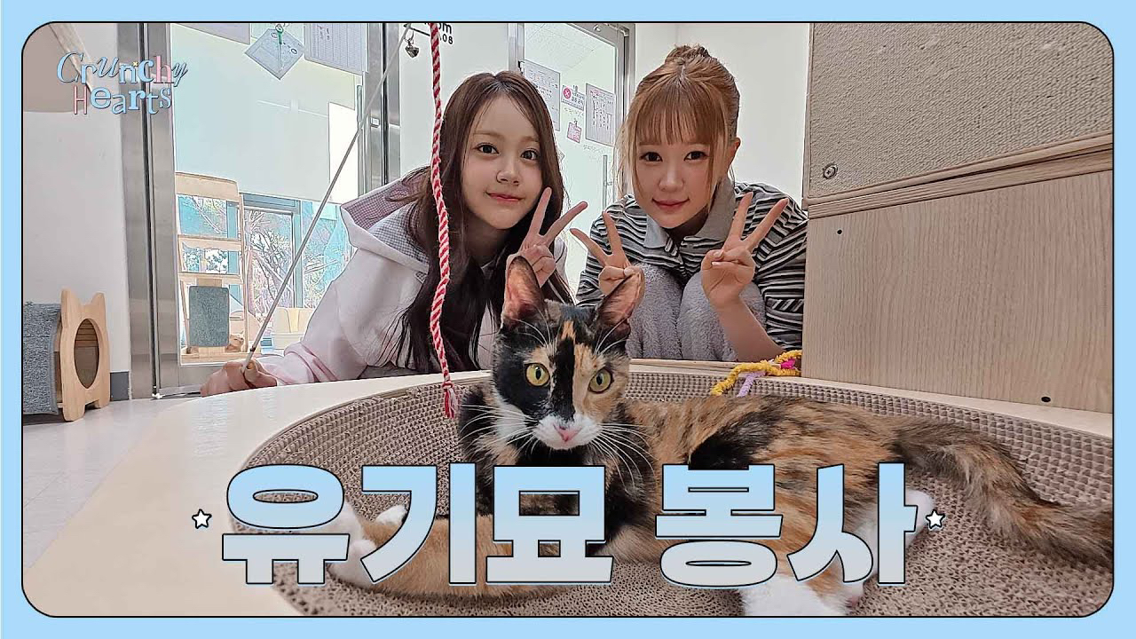 Recent activity shot of Hearts2Hearts