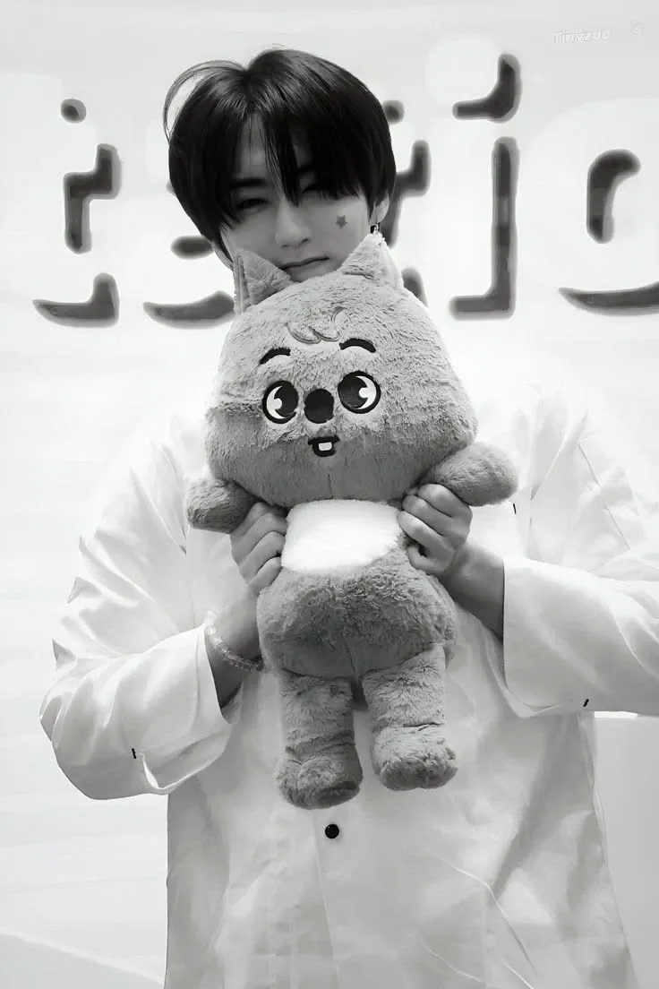 Recent activity shot of HAN (Stray Kids)