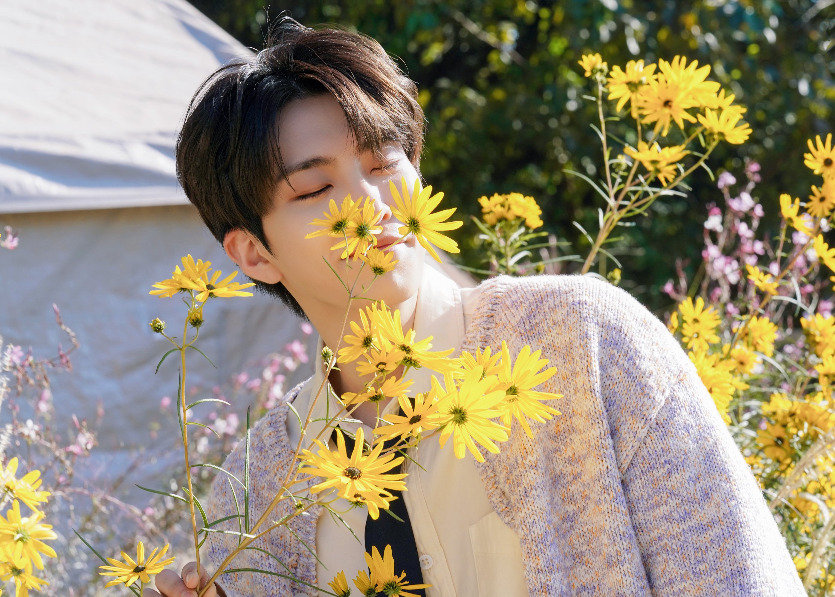 Behind-the-scenes cut of Youngjae (GOT7)