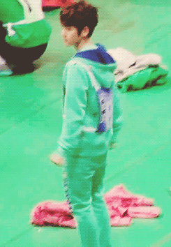 백현 (EXO) 팬이 찍은 순간