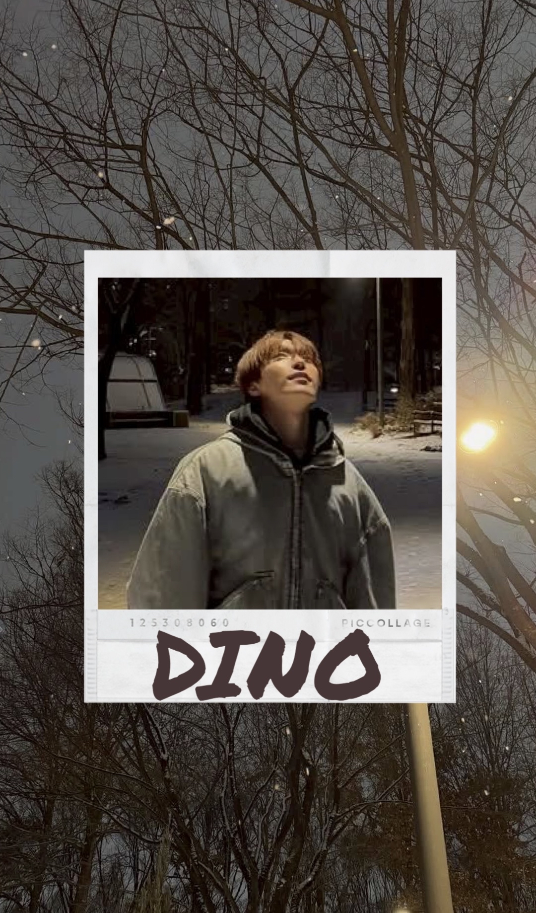 A moment captured by Dino (SEVENTEEN)'s fan