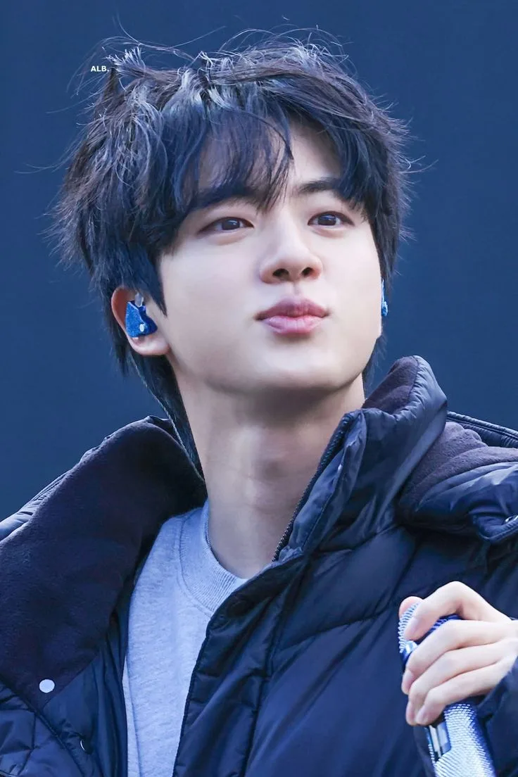 ジン (BTS)ファンが撮った瞬間