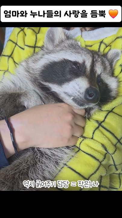 The most beloved wallpaper among Kang Daniel's fans