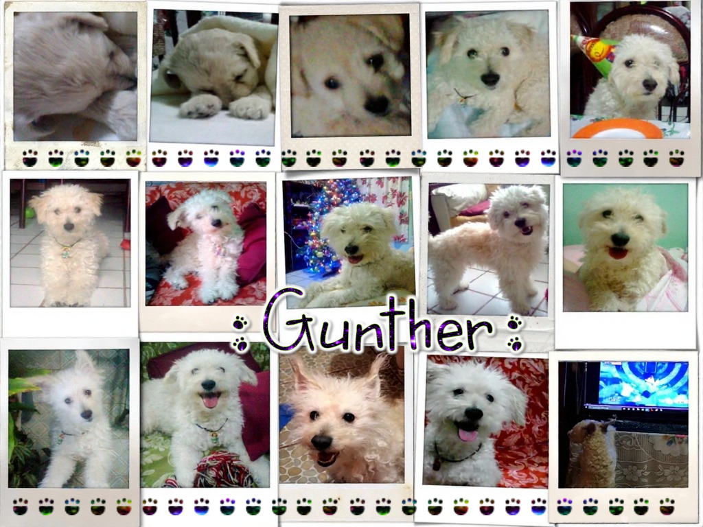 Stray Kids 최근 활동샷