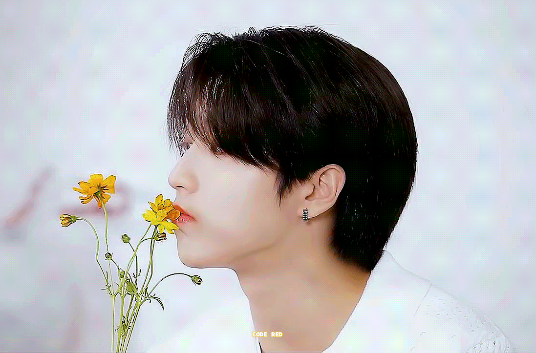 한 (Stray Kids) 팬이 찍은 순간