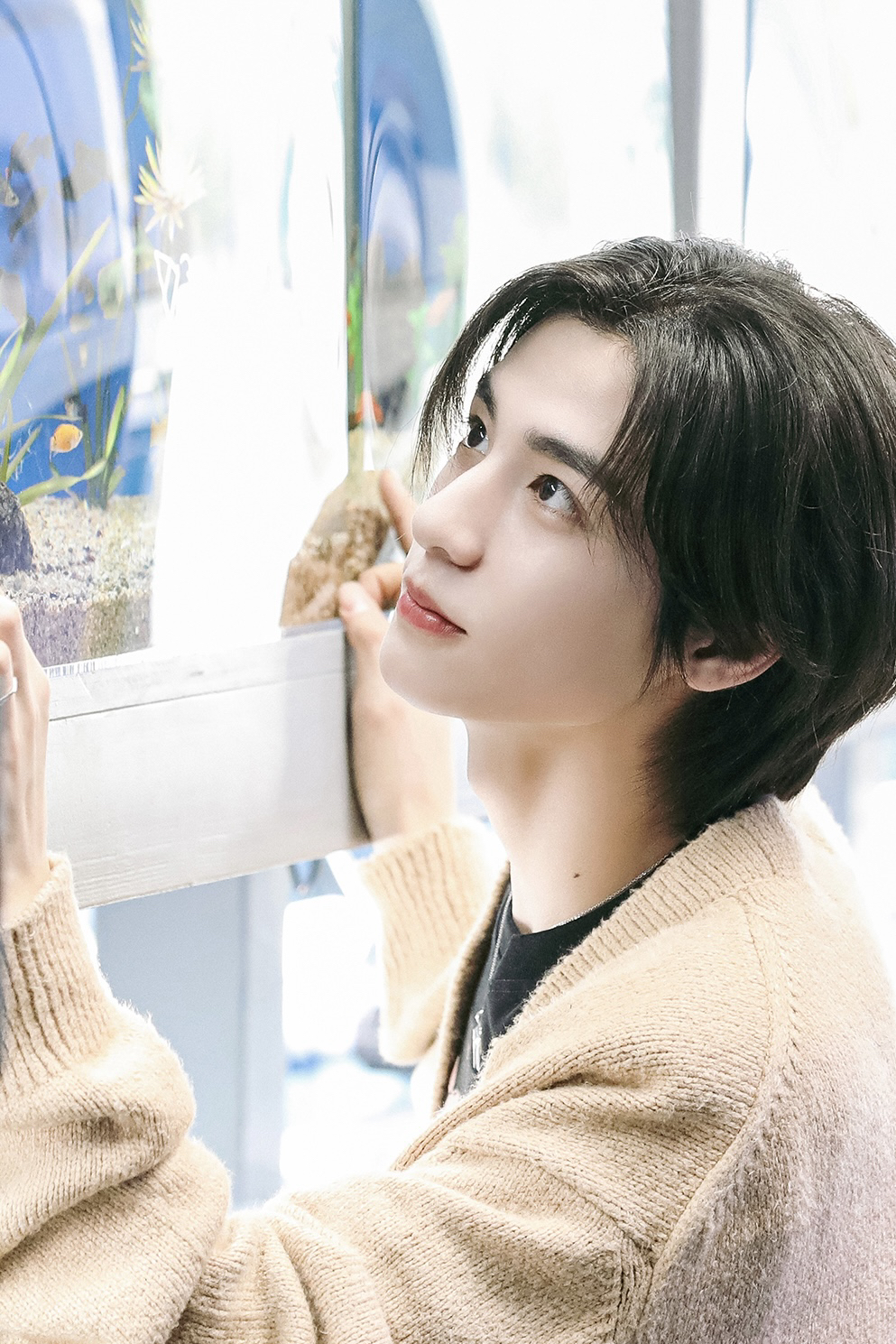 Behind-the-scenes cut of Leehan (BOYNEXTDOOR)
