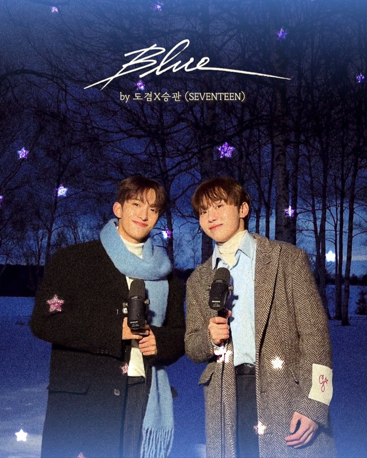 세븐틴 팬이 찍은 순간