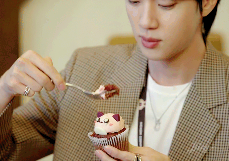 진 (방탄소년단) 팬이 찍은 순간