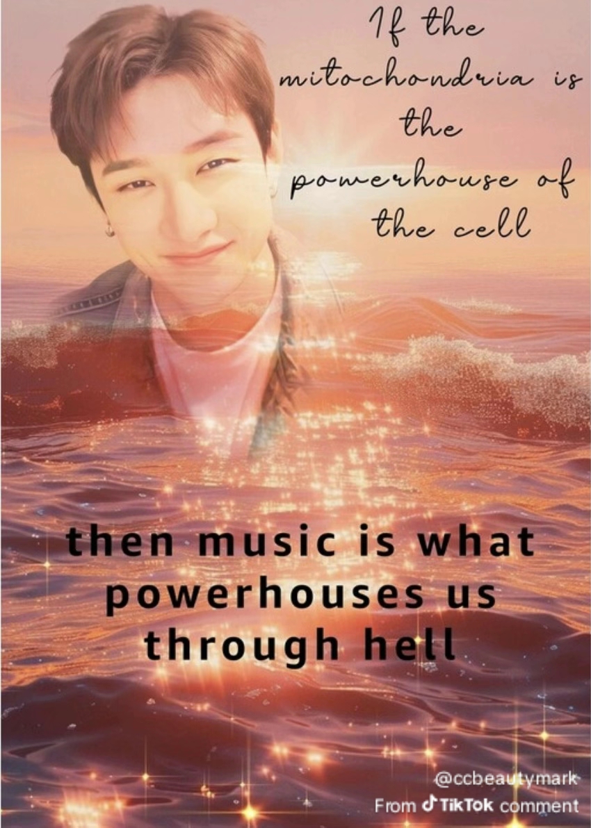 Stray Kids 팬이 찍은 순간