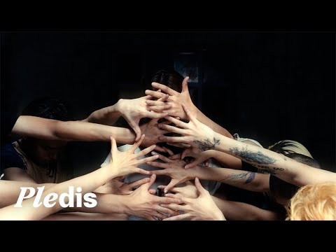 세븐틴 팬이 찍은 순간