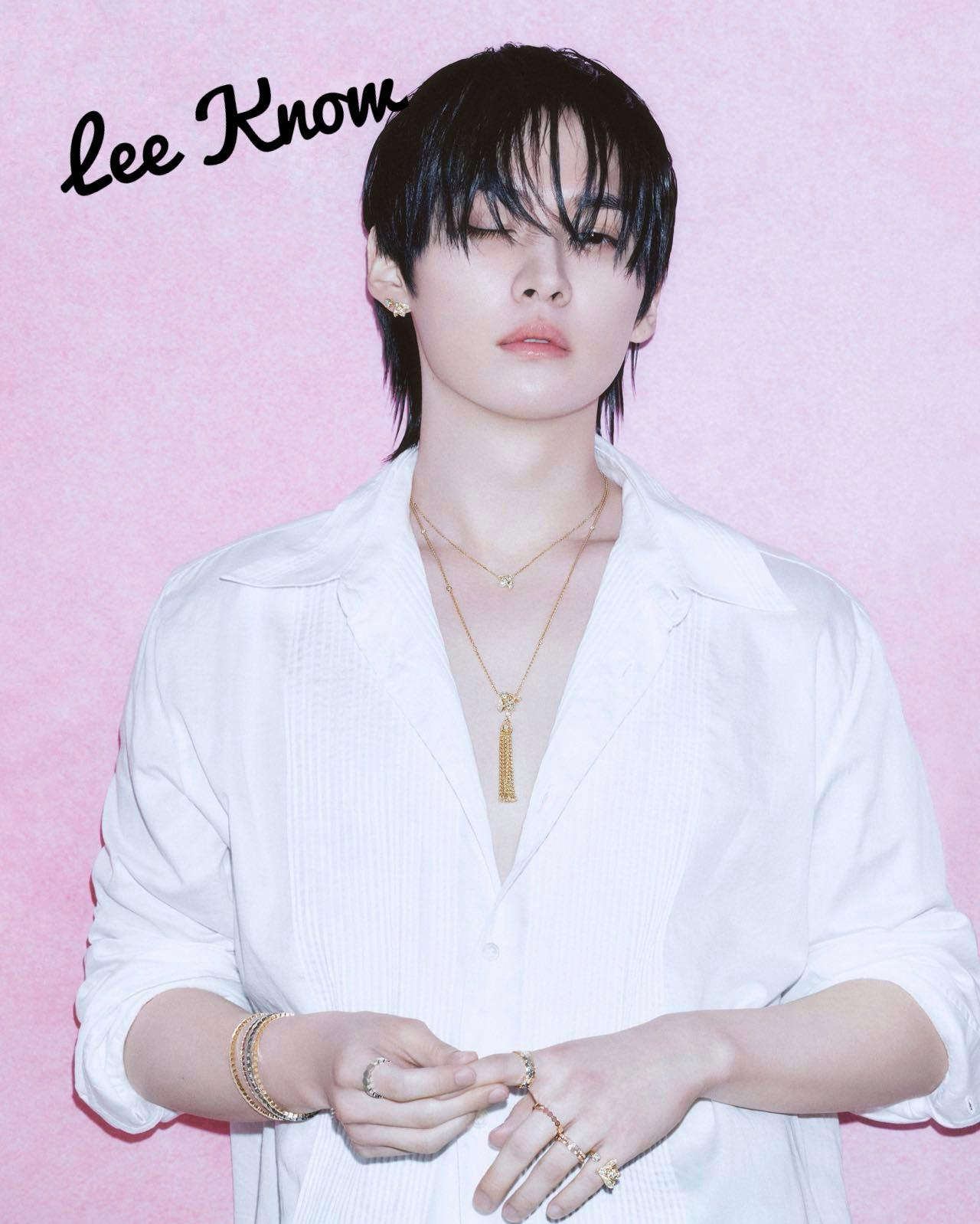 Behind-the-scenes cut of Lee Know (Stray Kids)