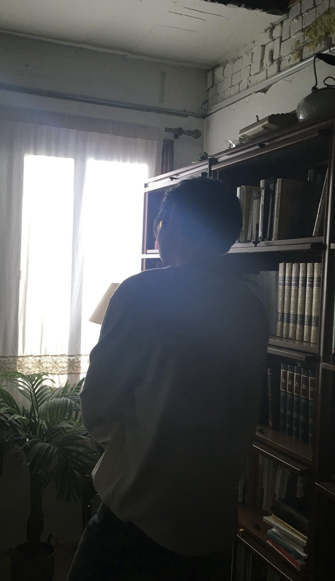 Fan-made special wallpaper for Sung Hanbin (ZEROBASEONE)