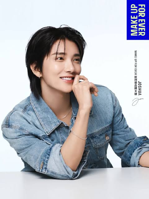 A moment captured by Joshua (SEVENTEEN)'s fan