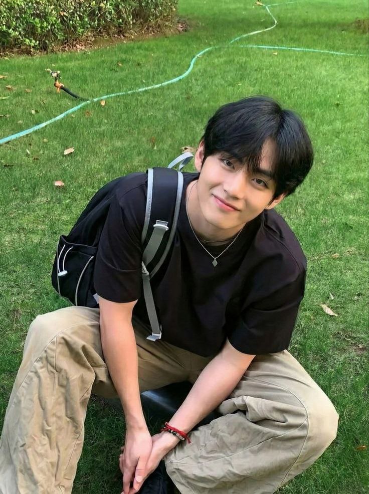 뷔 (방탄소년단) 팬이 찍은 순간