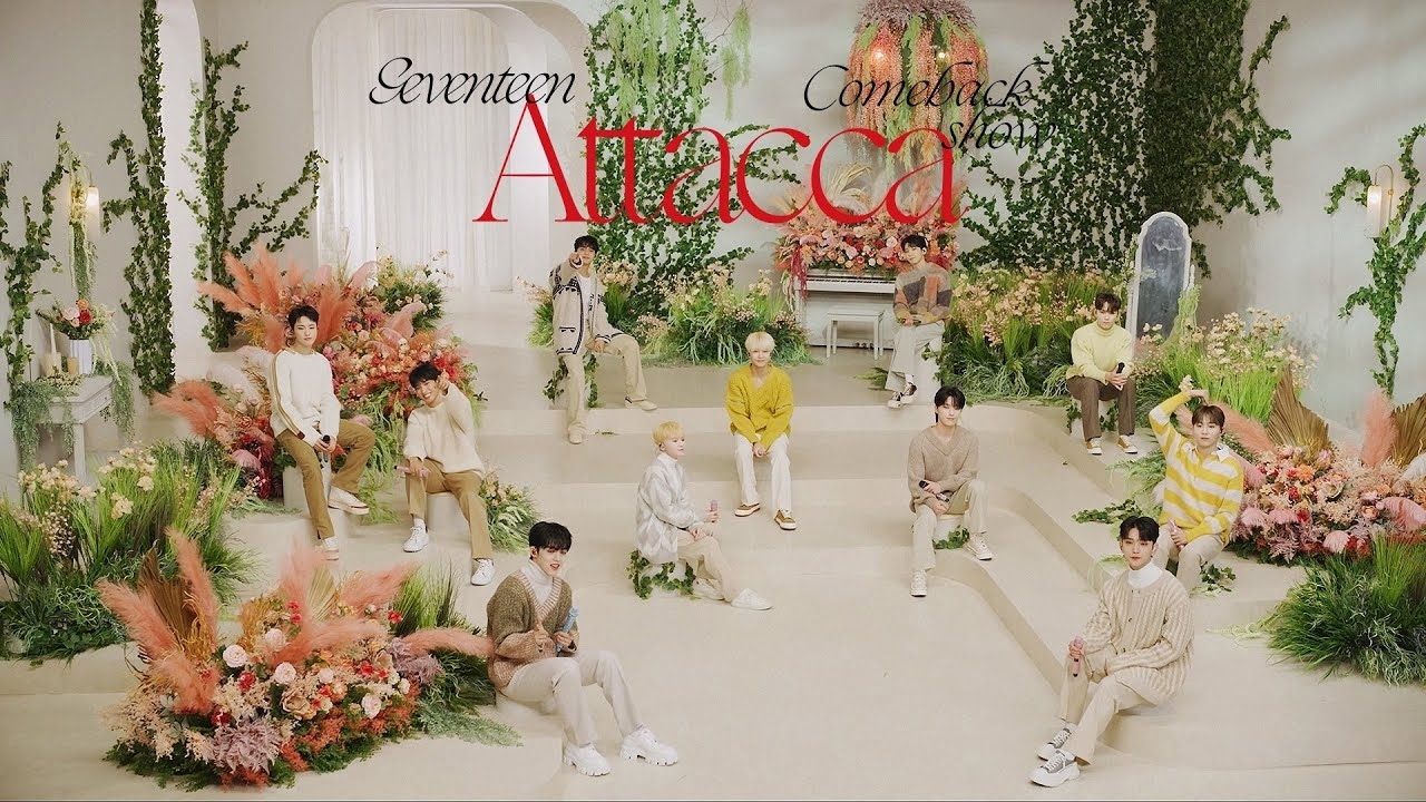 SEVENTEEN粉絲拍下的瞬間