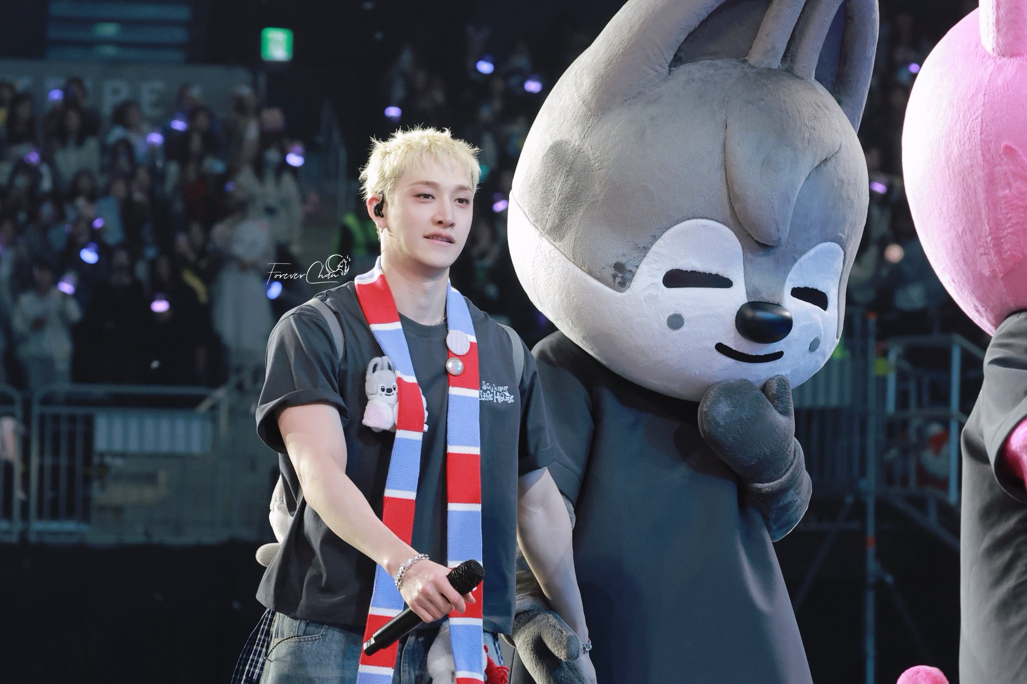 方灿 (Stray Kids)的最新活动照片