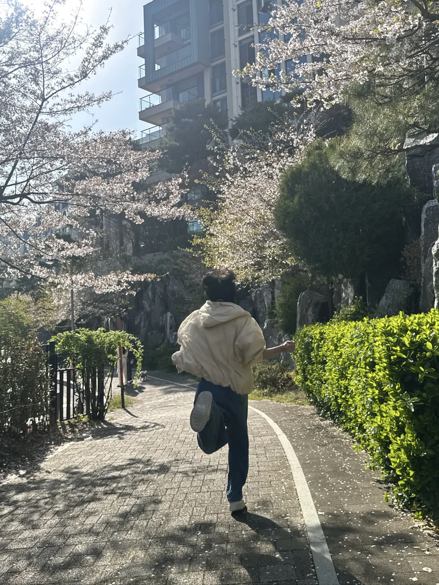 Recent activity shot of Jeonghan (SEVENTEEN)