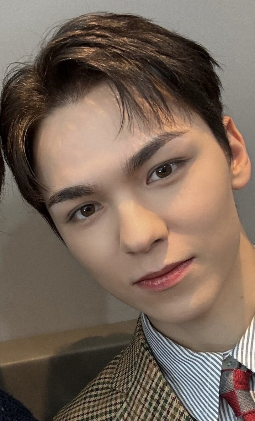 A moment captured by Vernon (SEVENTEEN)'s fan