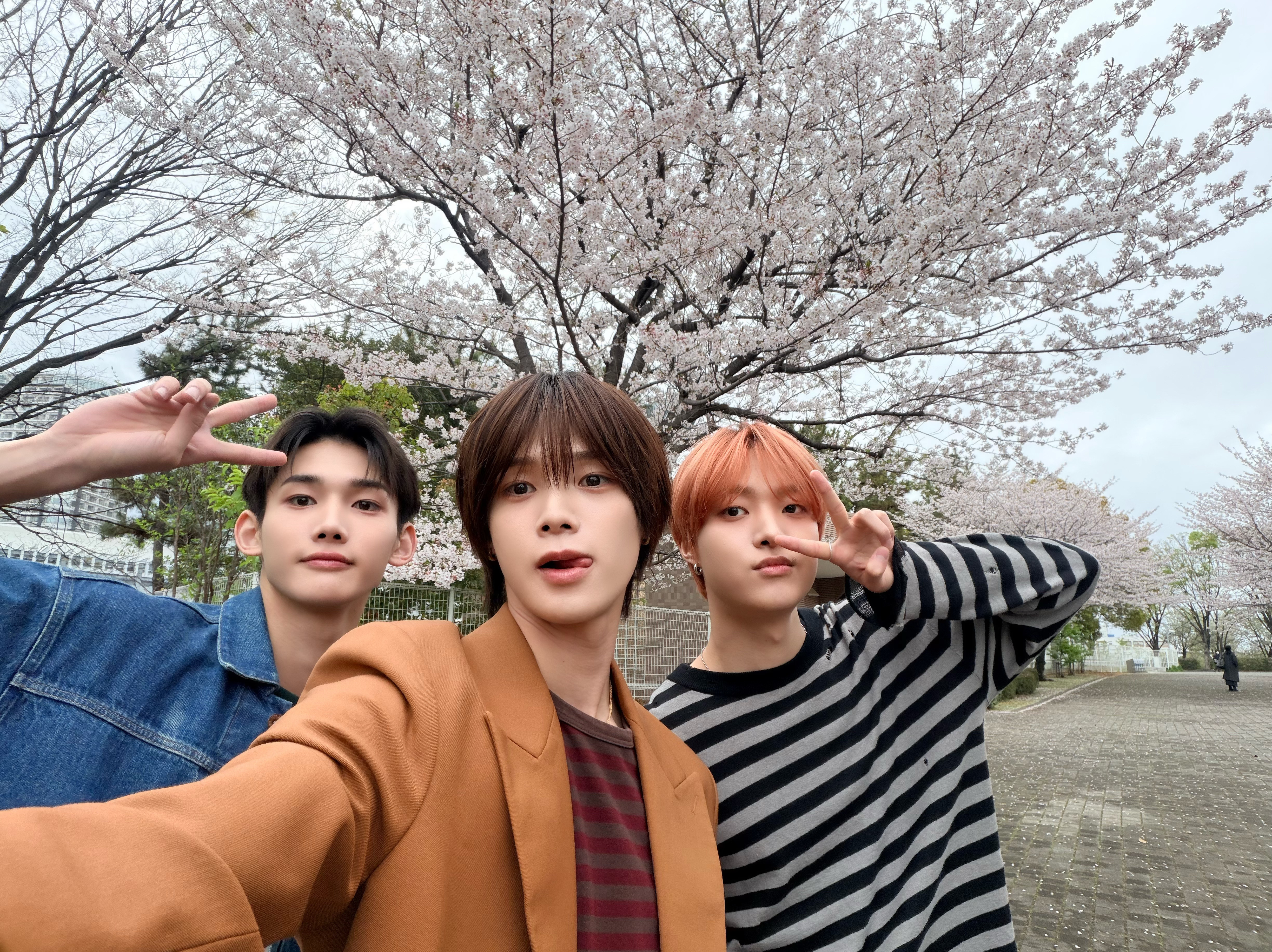 Latest photo of K (&TEAM)