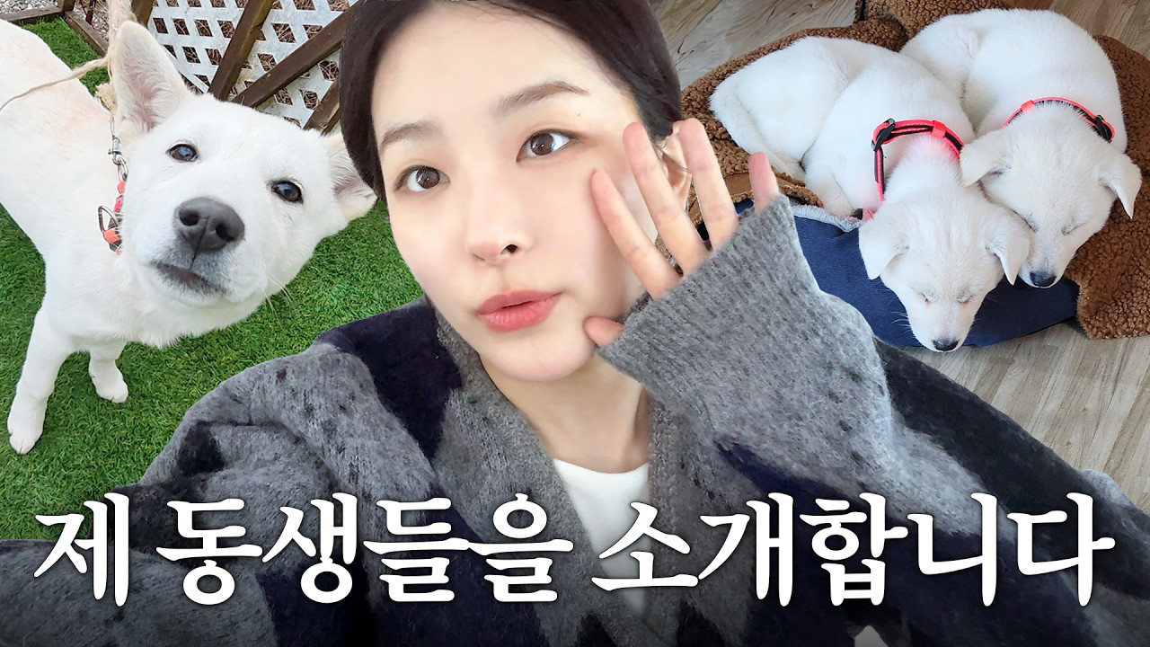 Red Velvet的最新活動照片