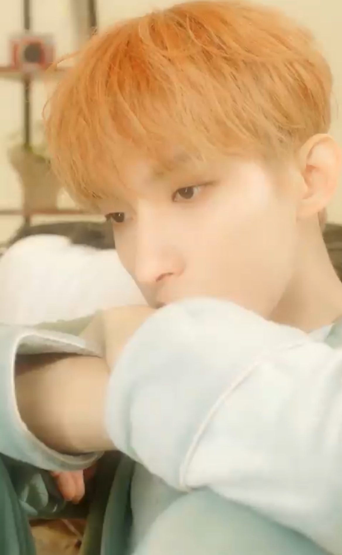 A moment captured by DK (SEVENTEEN)'s fan