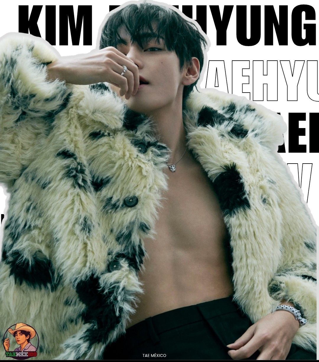 뷔 (방탄소년단) 팬이 찍은 순간