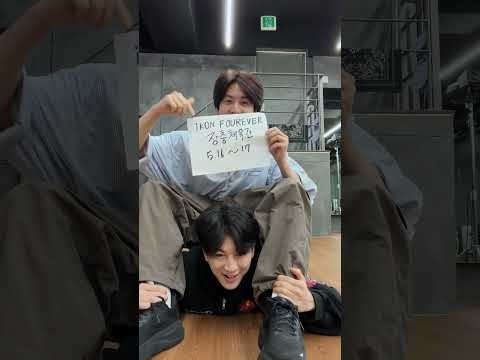 iKON 팬이 찍은 순간