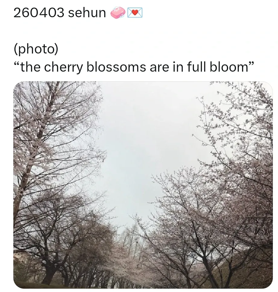 Latest photo of Sehun (EXO)