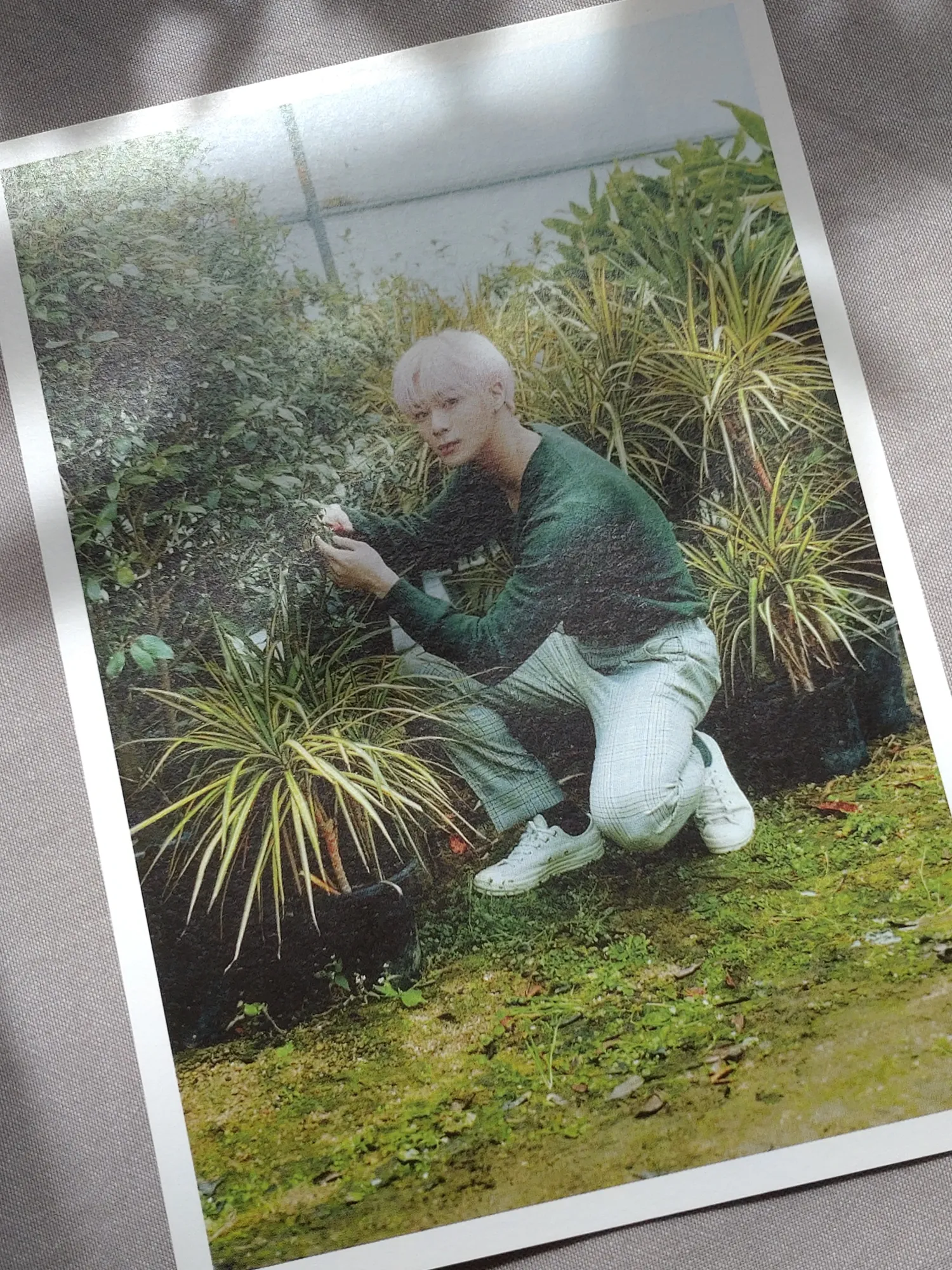 Recent activity shot of Moonbin (ASTRO)