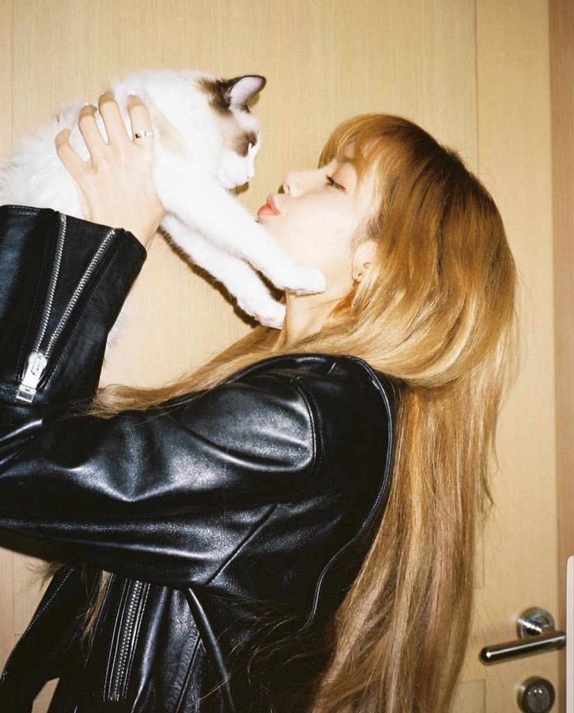 리사 (BLACKPINK) 팬이 찍은 순간