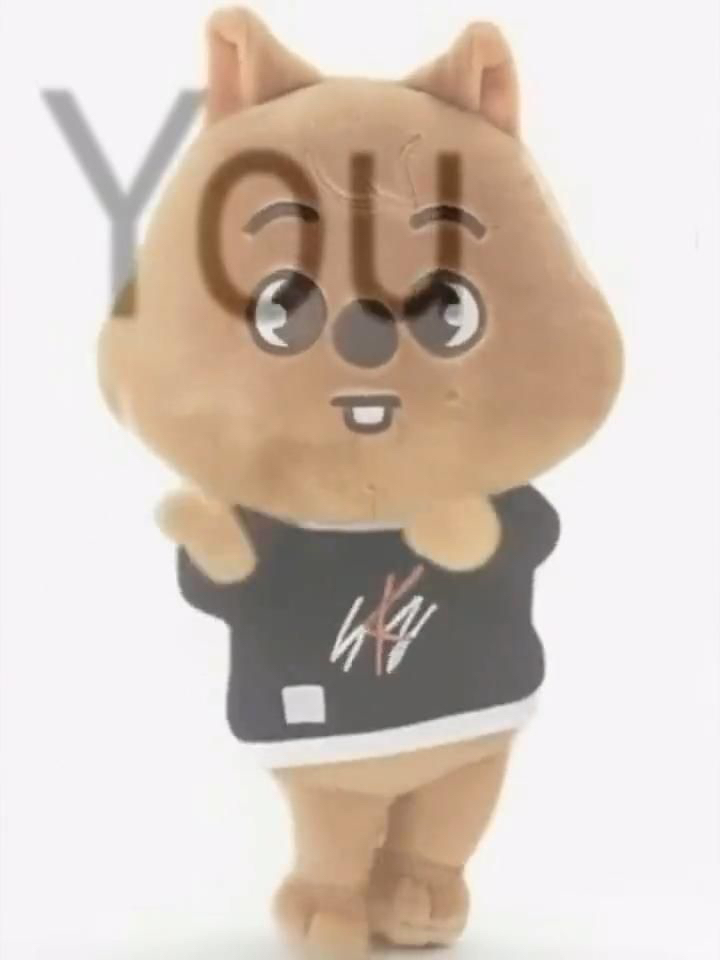 Stray Kids 팬이 찍은 순간