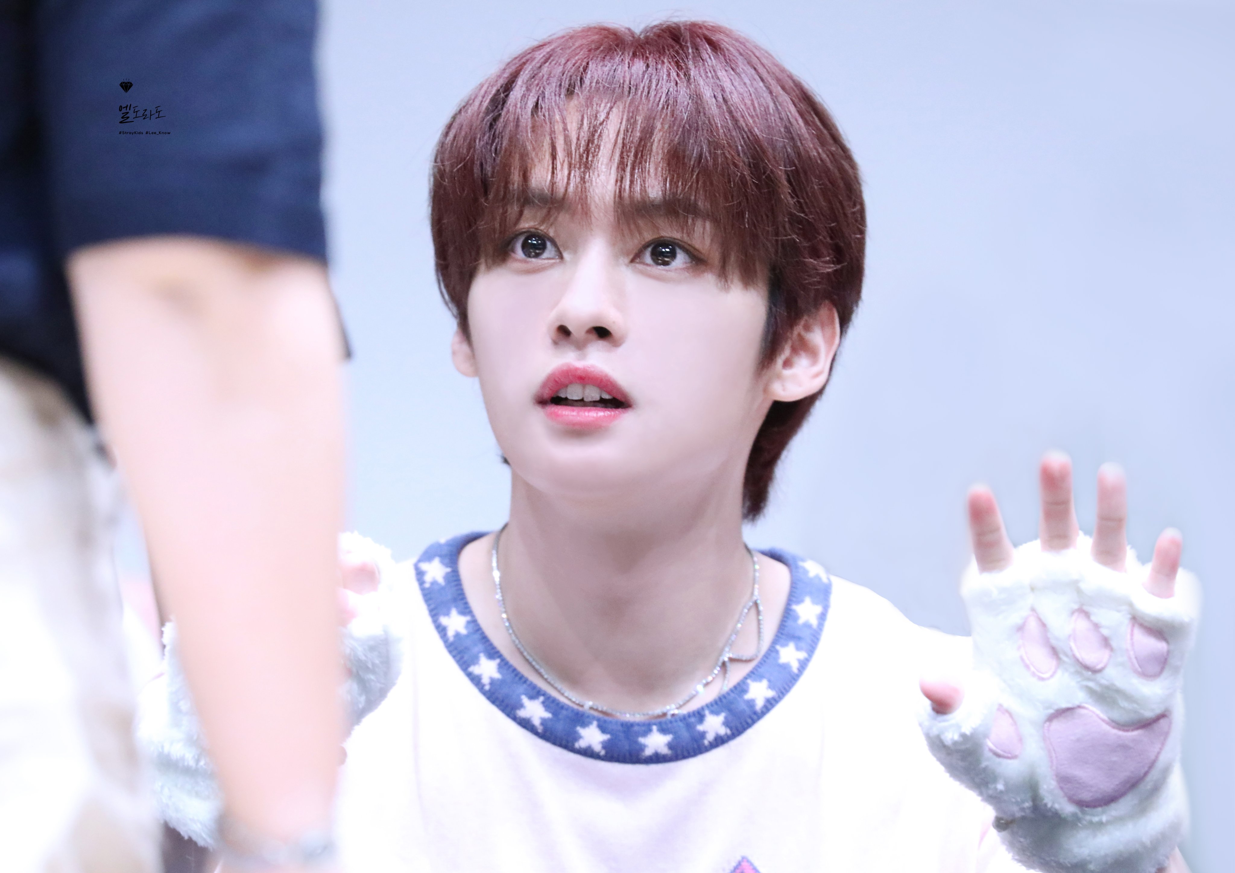 리노 (Stray Kids) 최근 활동샷
