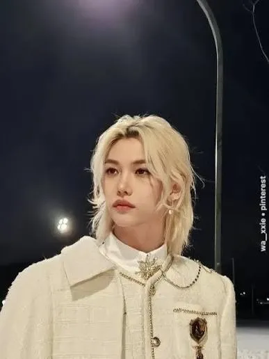 Recent activity shot of Stray Kids