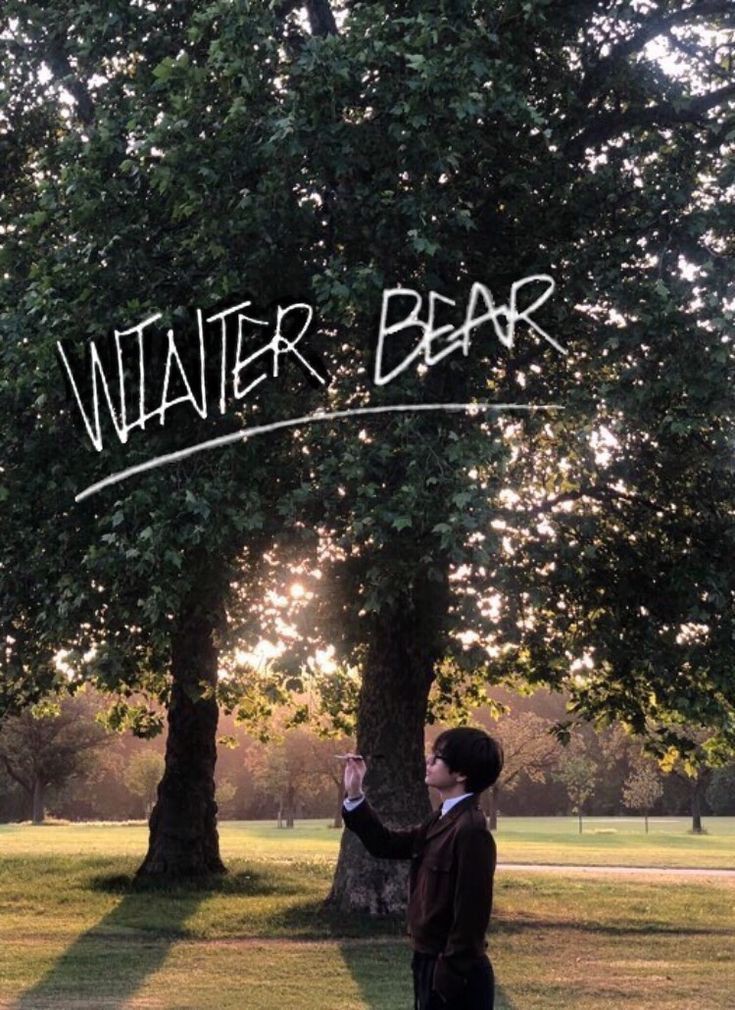 Behind-the-scenes cut of V (BTS)