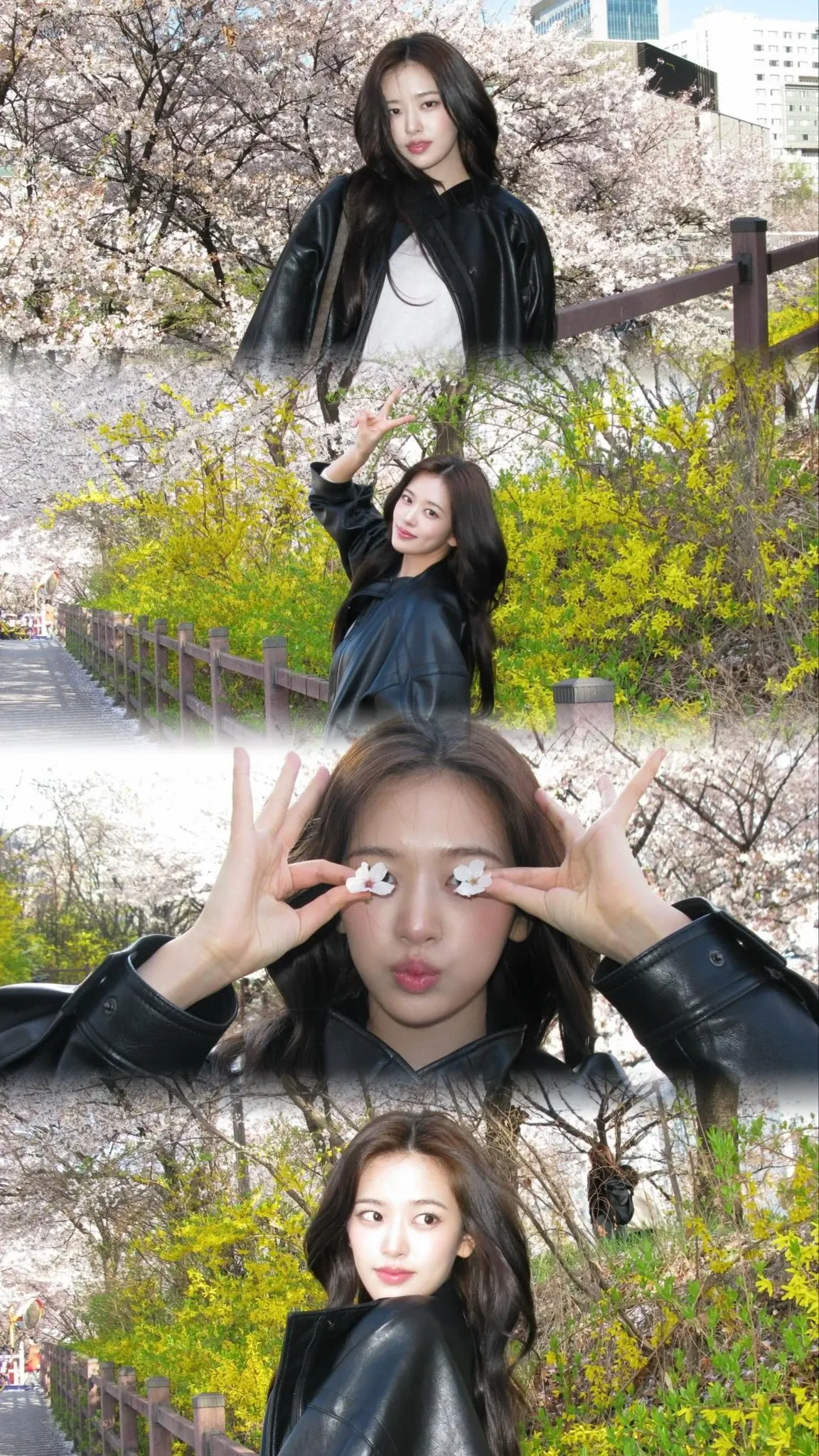 The most beloved wallpaper among An Yujin (IVE)'s fans