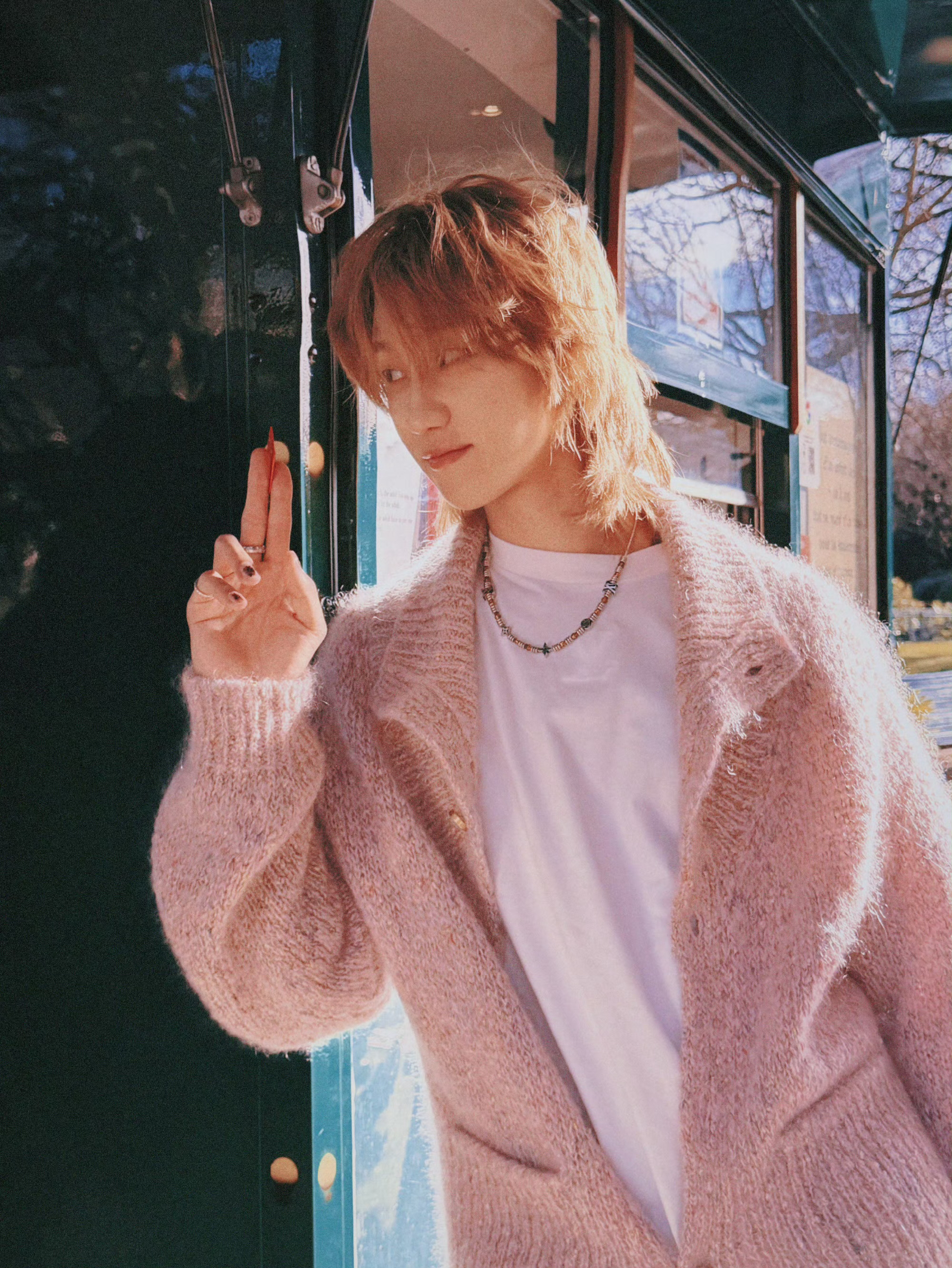 디에잇 (세븐틴) 팬이 찍은 순간