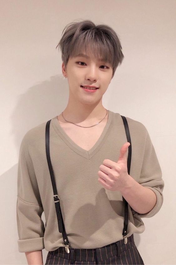 세븐틴 팬이 찍은 순간