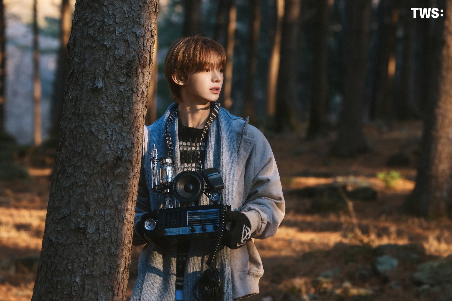 Recent activity shot of TWS