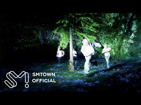 Recent activity shot of SHINee